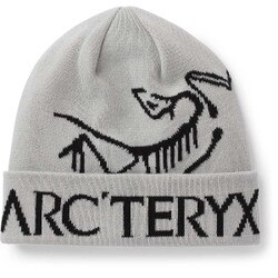 Arcteryx Bird Word Toque in Orca